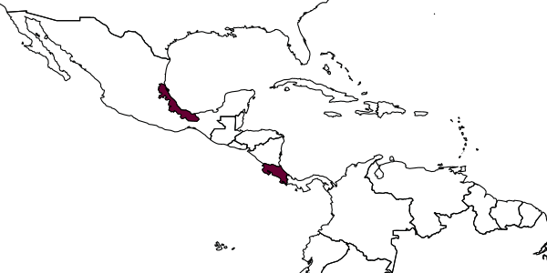 map of Encyrtus mexicanus     (Girault, 1917)